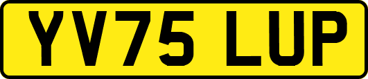 YV75LUP