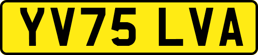 YV75LVA