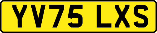 YV75LXS