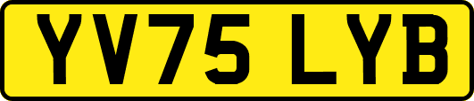 YV75LYB