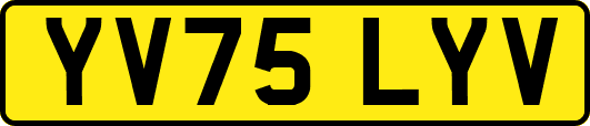 YV75LYV