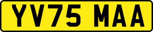 YV75MAA