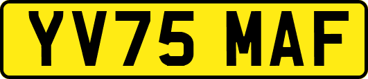 YV75MAF