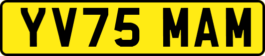 YV75MAM