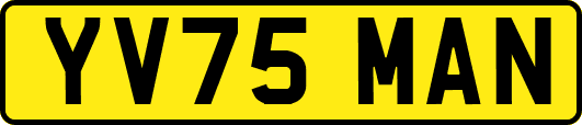 YV75MAN