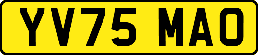 YV75MAO