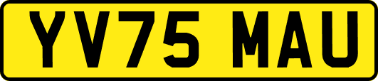 YV75MAU