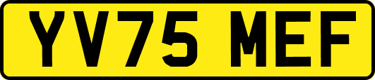YV75MEF
