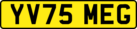 YV75MEG