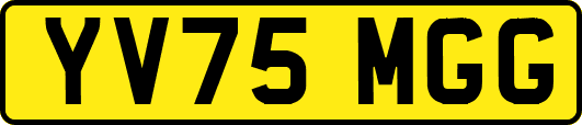 YV75MGG