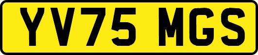 YV75MGS