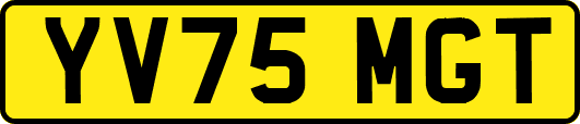 YV75MGT