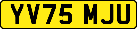 YV75MJU