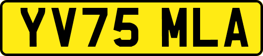 YV75MLA