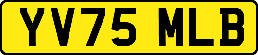 YV75MLB