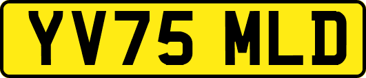 YV75MLD