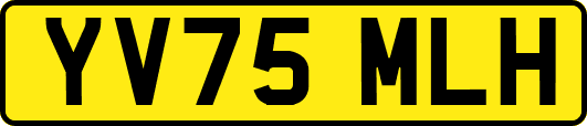 YV75MLH