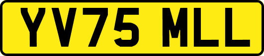 YV75MLL