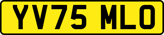 YV75MLO