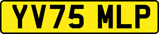 YV75MLP