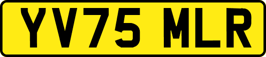 YV75MLR