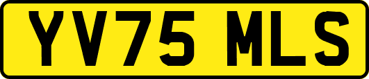 YV75MLS
