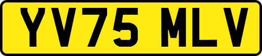 YV75MLV