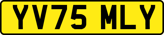 YV75MLY