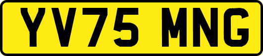 YV75MNG