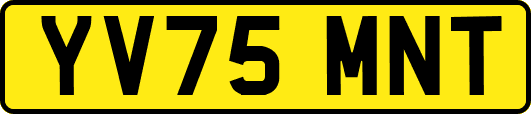 YV75MNT