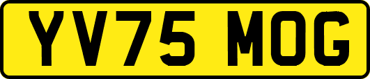 YV75MOG