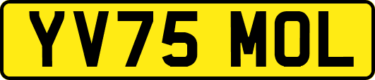 YV75MOL