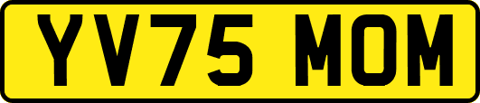 YV75MOM