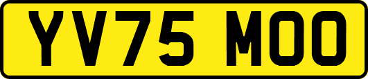 YV75MOO