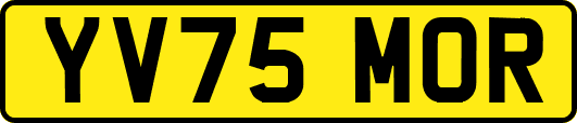 YV75MOR
