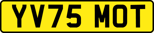 YV75MOT