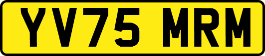 YV75MRM