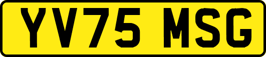 YV75MSG