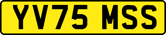 YV75MSS