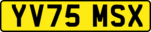 YV75MSX