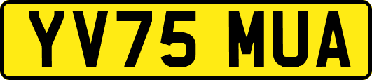 YV75MUA