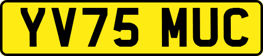YV75MUC