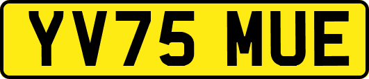 YV75MUE