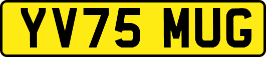 YV75MUG