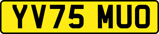 YV75MUO