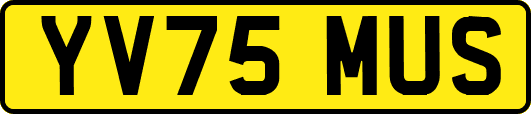 YV75MUS