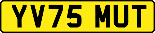 YV75MUT