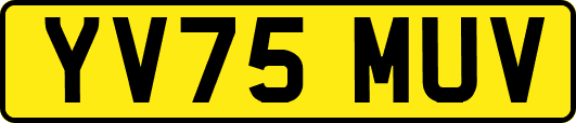 YV75MUV