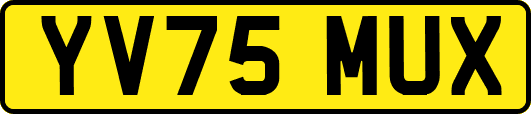 YV75MUX