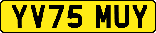 YV75MUY